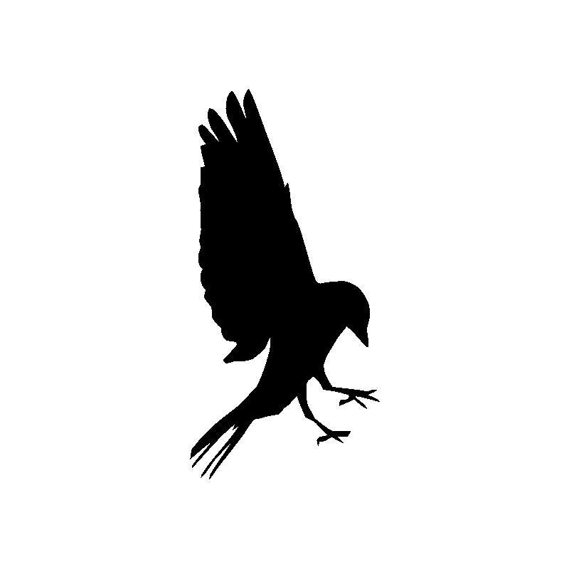 Oiseau