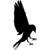 Oiseau