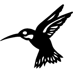 Oiseau 5783