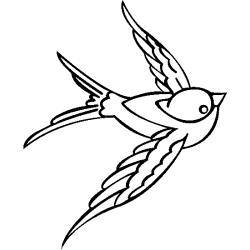 Oiseau 5813