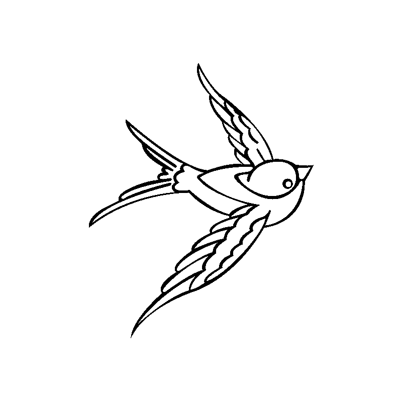 Oiseau 5813