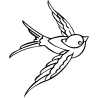 Oiseau 5813