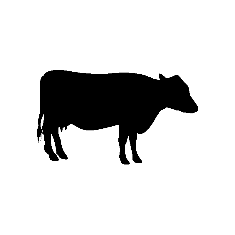 Ane 578