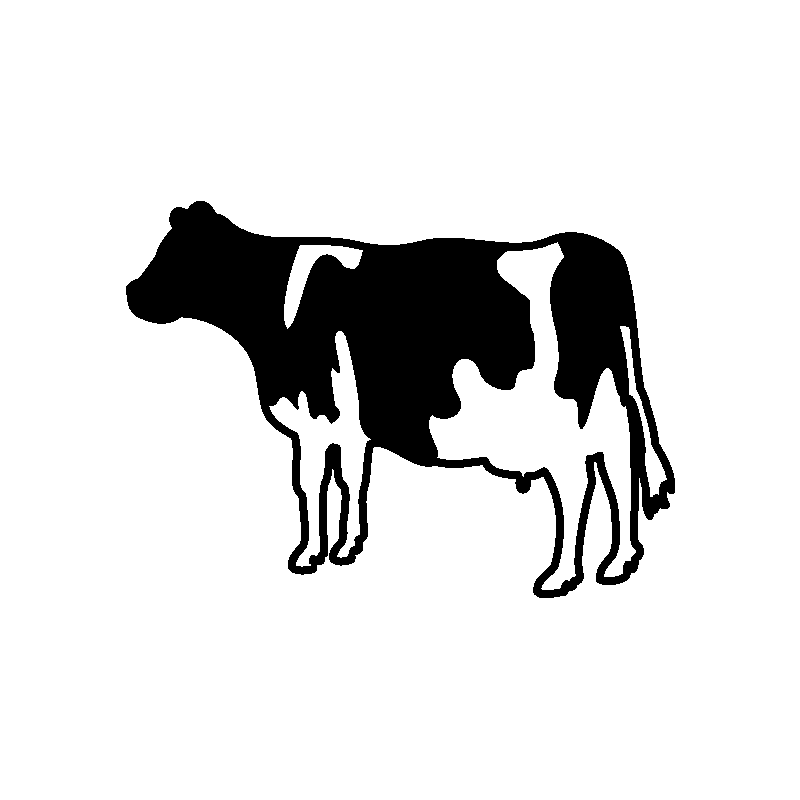 Vache 5788