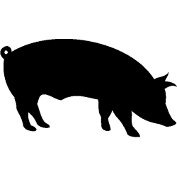 Vache 5789