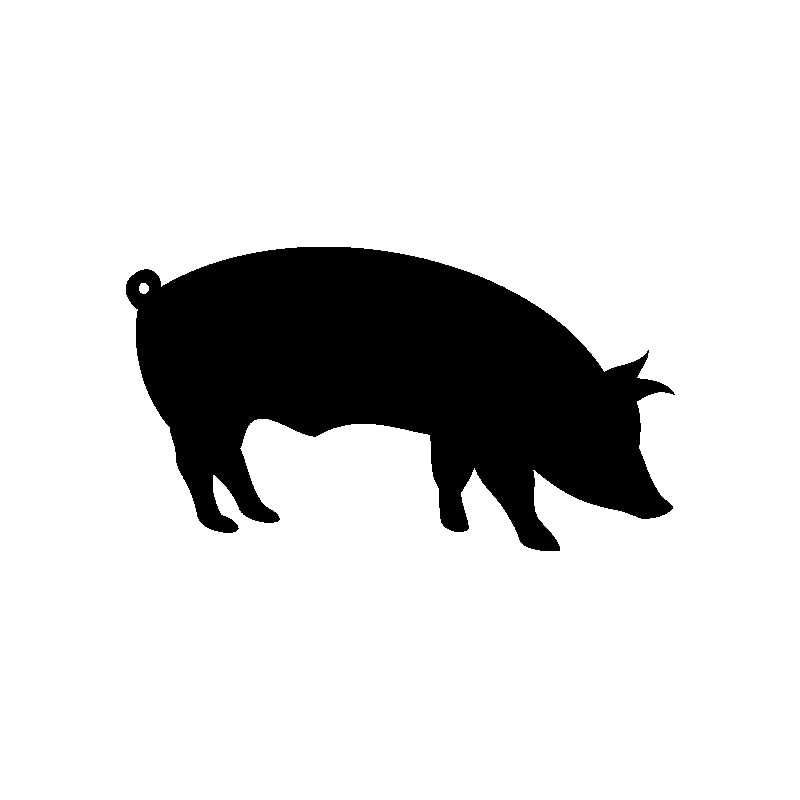 Vache 5789
