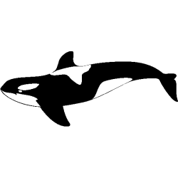 poisson 5796
