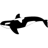poisson 5796