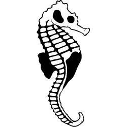poisson 5798