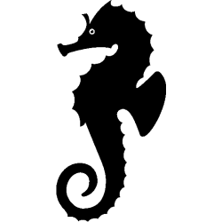 hypocampe 5799