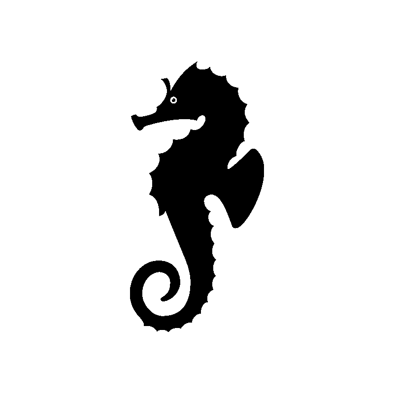 hypocampe 5799