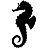 hypocampe 5799