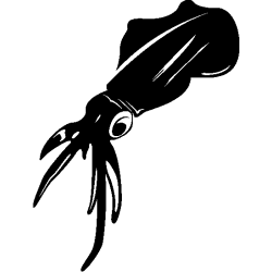 hypocampe 5800