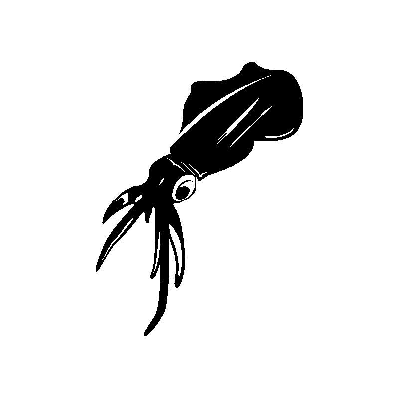 hypocampe 5800