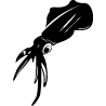 hypocampe 5800