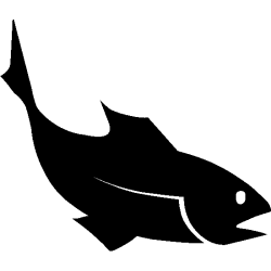 seche 5805