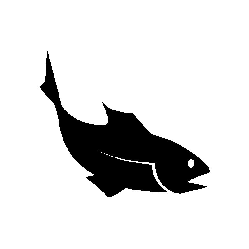 seche 5805