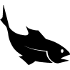 seche 5805
