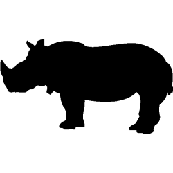 panthere 5433