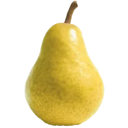 Pomme verte apple