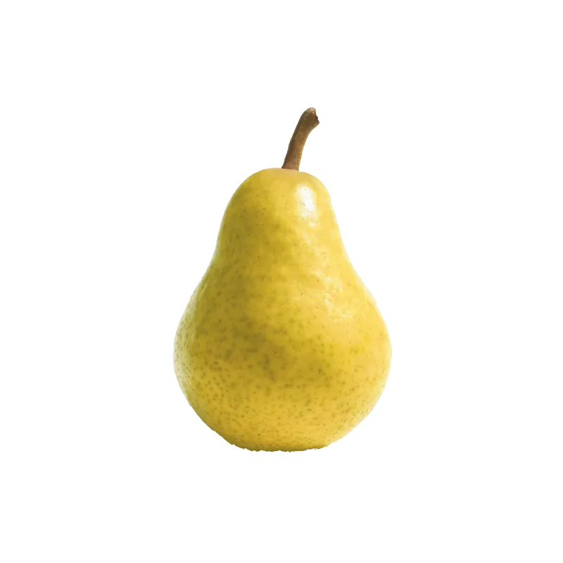 Pomme verte apple