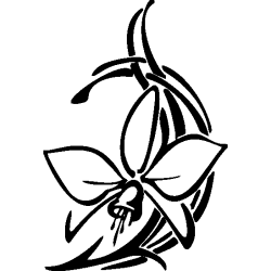 Fleur 457
