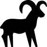 belier 1