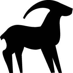 capricorne 1
