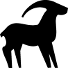 capricorne 1