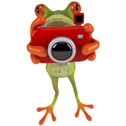 grenouille photo