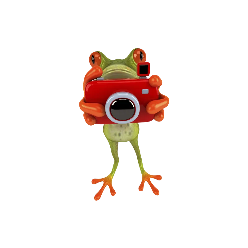 grenouille photo