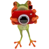 grenouille photo