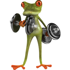 grenouille musculation