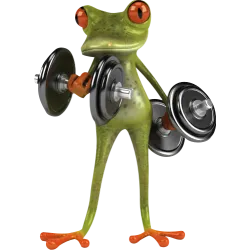 grenouille musculation