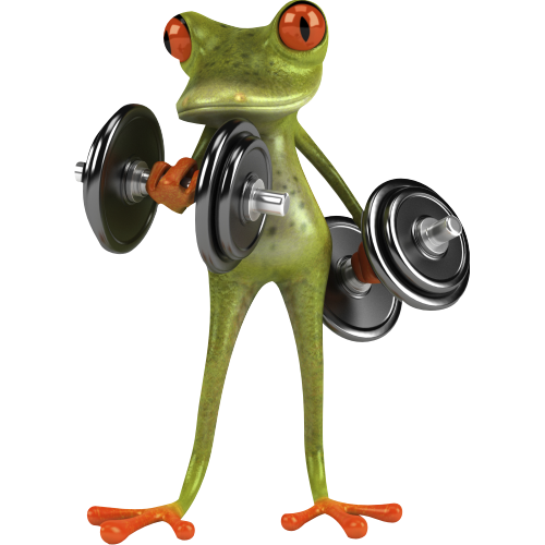 grenouille musculation