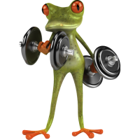 grenouille musculation