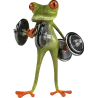 grenouille musculation