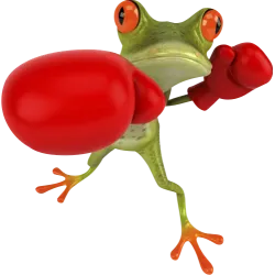 Grenouille boxe