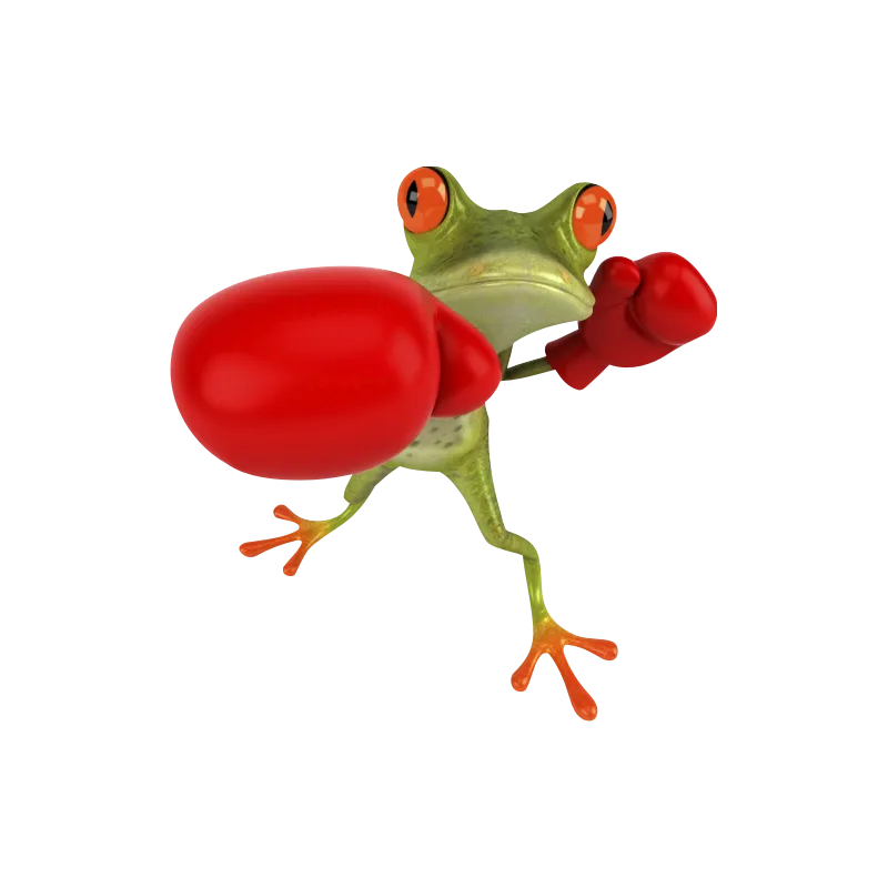 Grenouille boxe