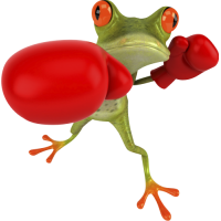 Grenouille boxe