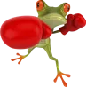 Grenouille boxe