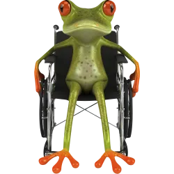 Grenouille fauteuil roulant