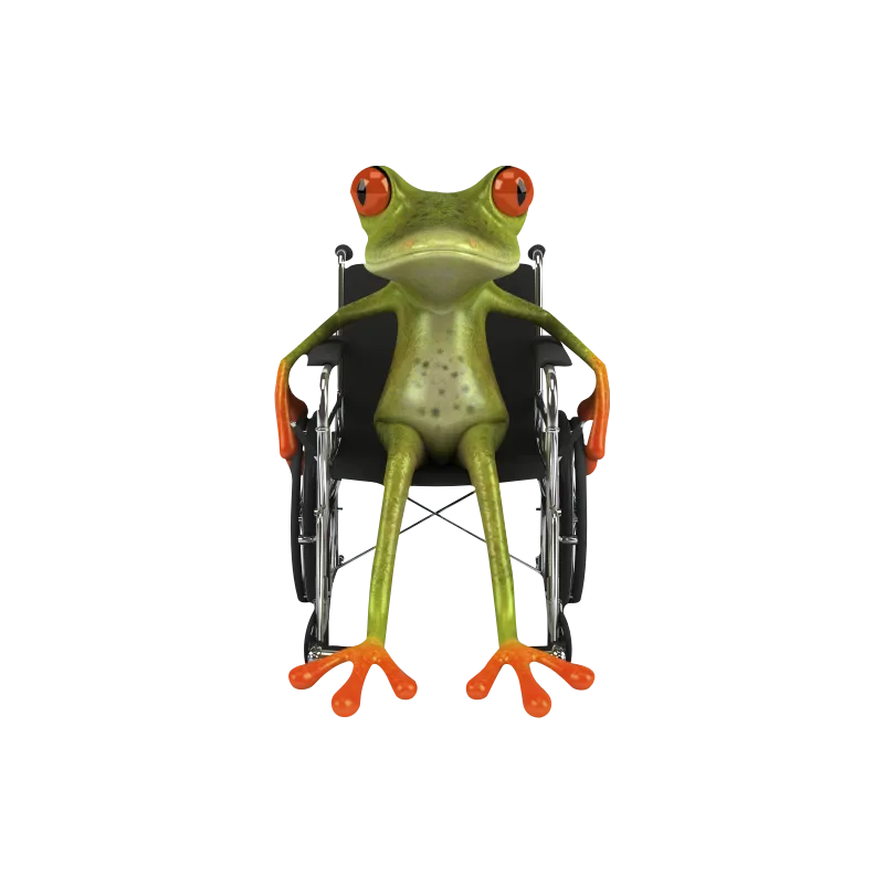 Grenouille fauteuil roulant