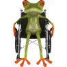 Grenouille fauteuil roulant