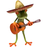 Grenouille masquée