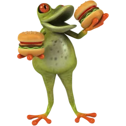 Grenouille mexicaine