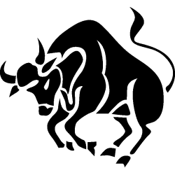 taureau 2
