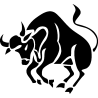 taureau 2