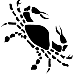 cancer 2