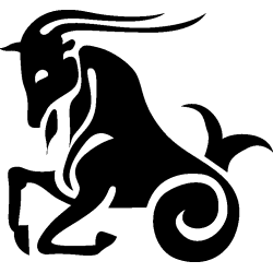 capricorne 2